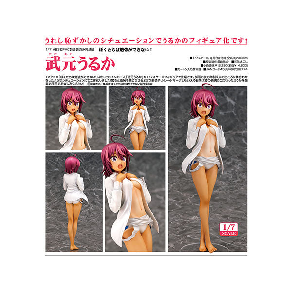 ぼくたちは勉強ができない! 武元うるか